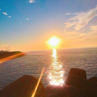 皇冠·app手机app下载