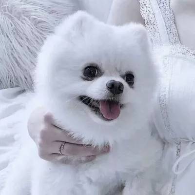 bd体育app官方下载