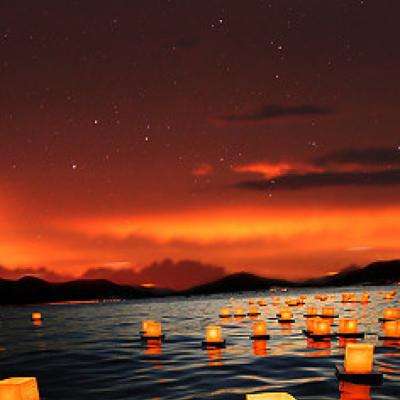 金年会·体育APP