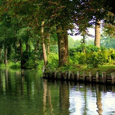 网赌软件在线下载截图