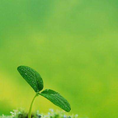 三亿体育app下载