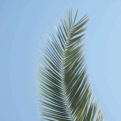 博鱼·体育中国官方网站