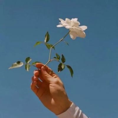 半岛网页版手机app下载