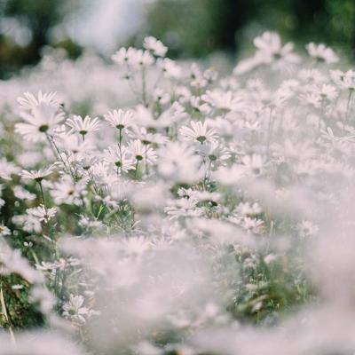 ag娱乐平台游戏中心